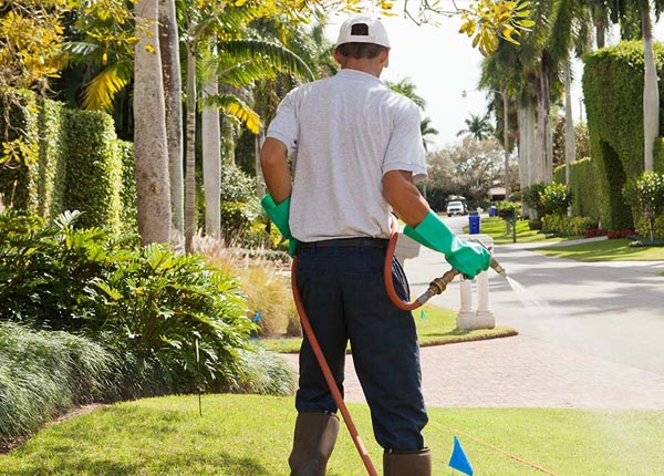 About Morris AL Pest Control Pros